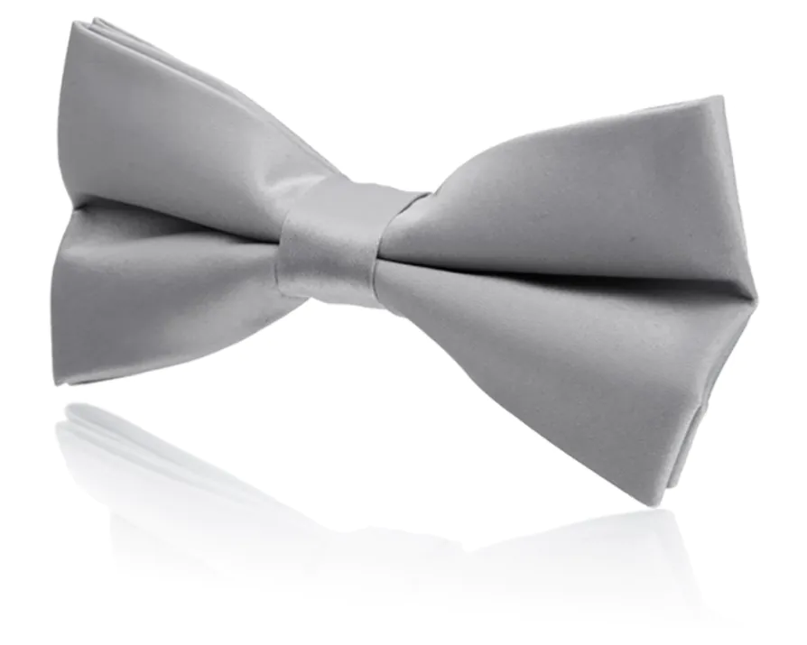 Boys Pre-Tied Silver Bow Tie