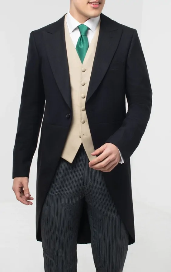 Morning Suit Top Hat Waistcoat Dress Shirt Tie Dobell