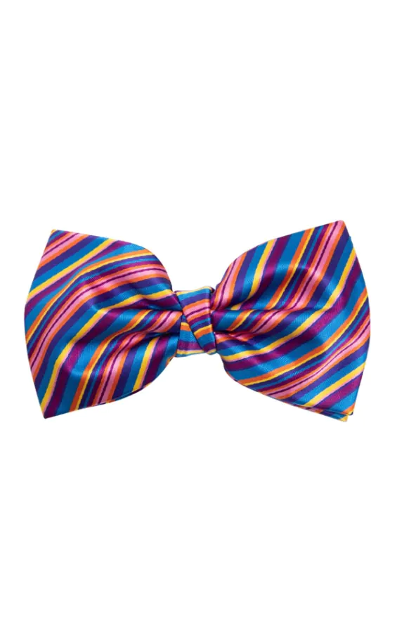 Rainbow Bow Tie