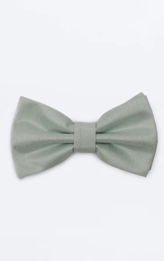 Light Green Dupion Bow Tie