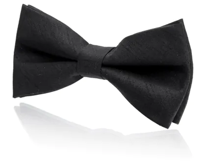 Boys Pre-Tied Black Dupion Bow Tie