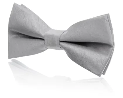 Boys Pre-Tied Silver Dupion Bow Tie