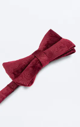 Burgundy Paisley Velvet Bow Tie