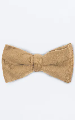 Gold Paisley Velvet Bow Tie