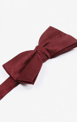 Burgundy Dupion Bow Tie