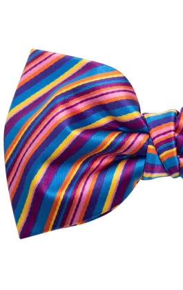 Rainbow Bow Tie