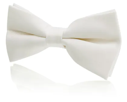 Boys Pre-Tied Ivory Bow Tie