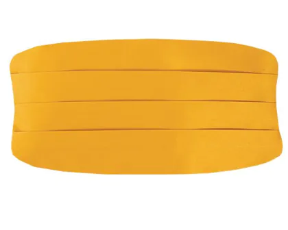 Gold Cummerbund