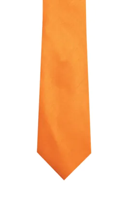 Orange Dupion Tie