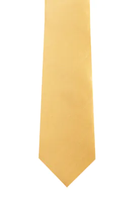 Dark Gold Dupion Tie