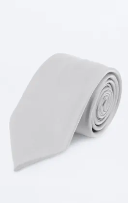 Silver Poly Tie